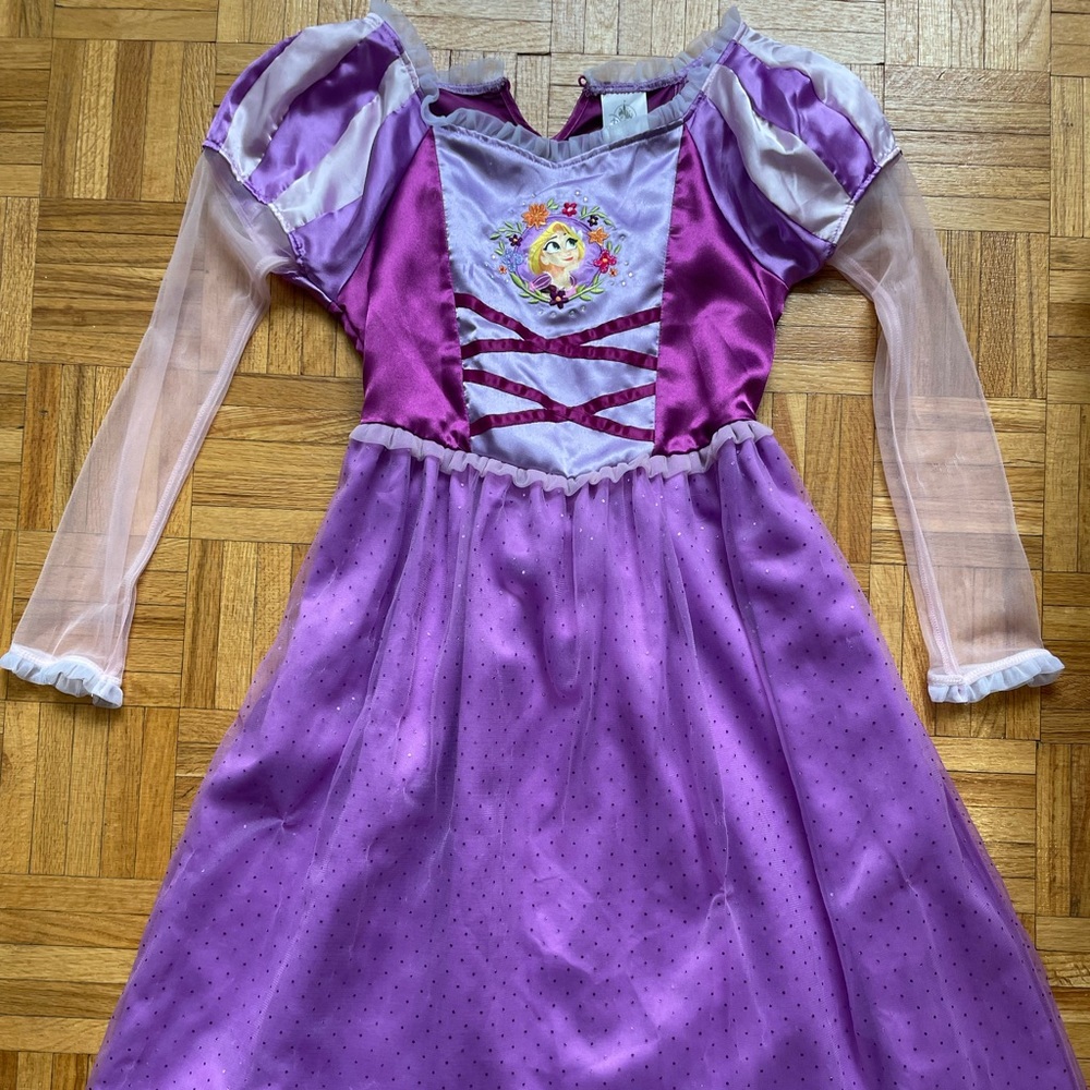Disney Princess Dress